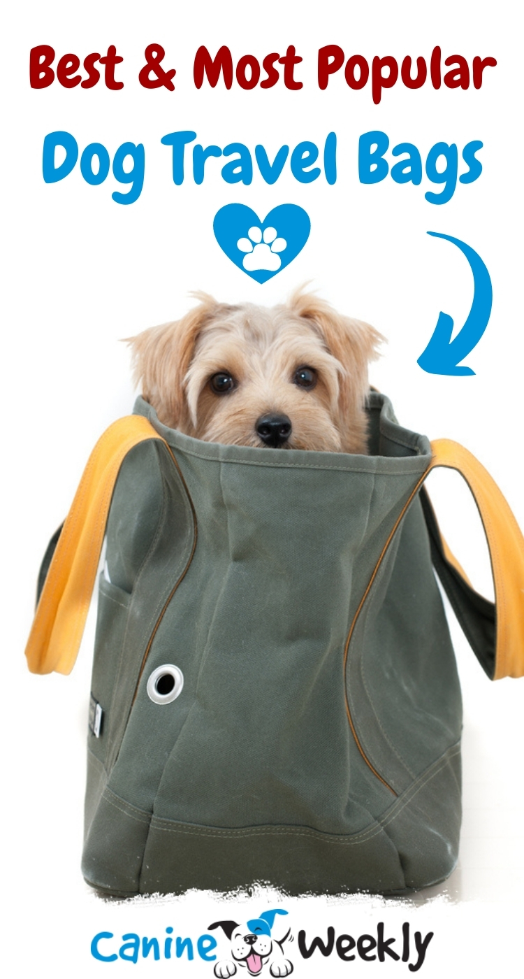 Selecting the Best Dog Travel Bag in 2021