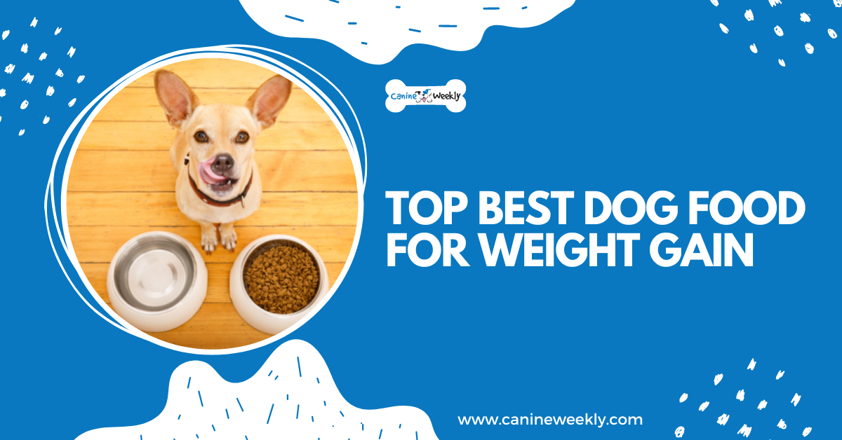 11-best-puppy-foods-for-weight-gain-mass-builders-reviews