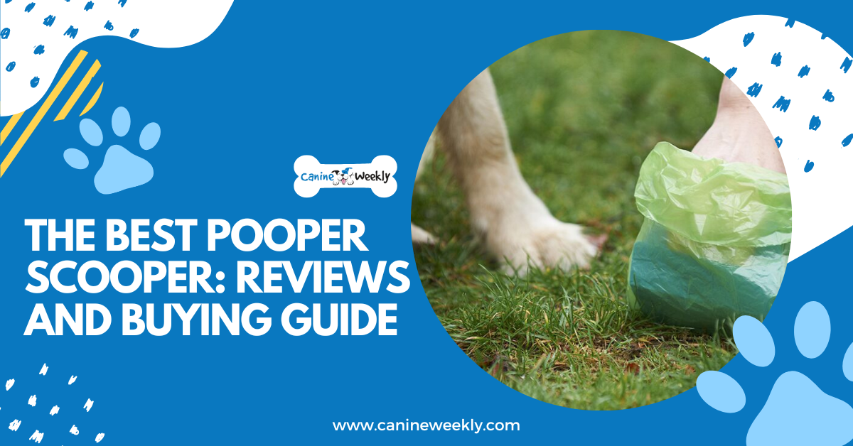 The Best Pooper Scooper Reviews and Buying Guide
