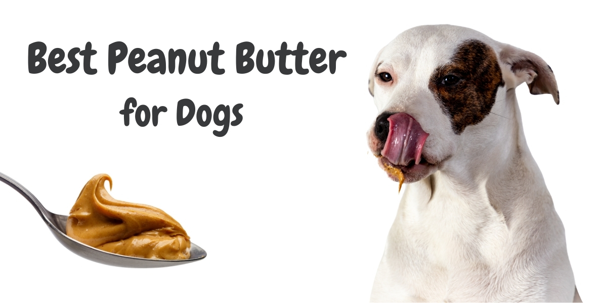 why can dogs have peanut butter but not peanuts