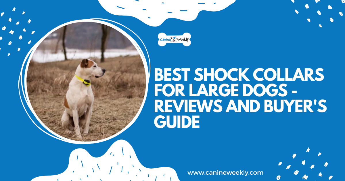 7 Best Shock Collars for Large Dogs [Updated 2023 Reviews]