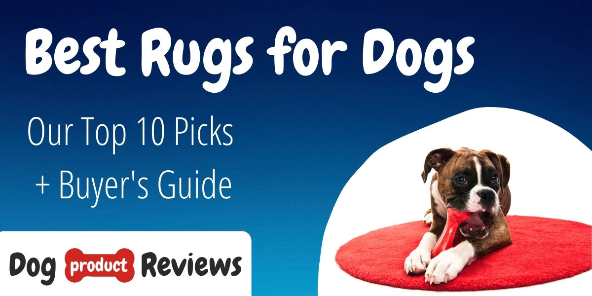 10 Best Rugs For Dogs Reviews And, Best Rug For Dogs
