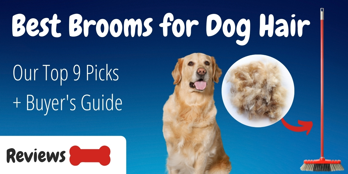 9 Best Brooms For Dog Hair Reviews And Buying Guide   Best Brooms For Dog Hair 