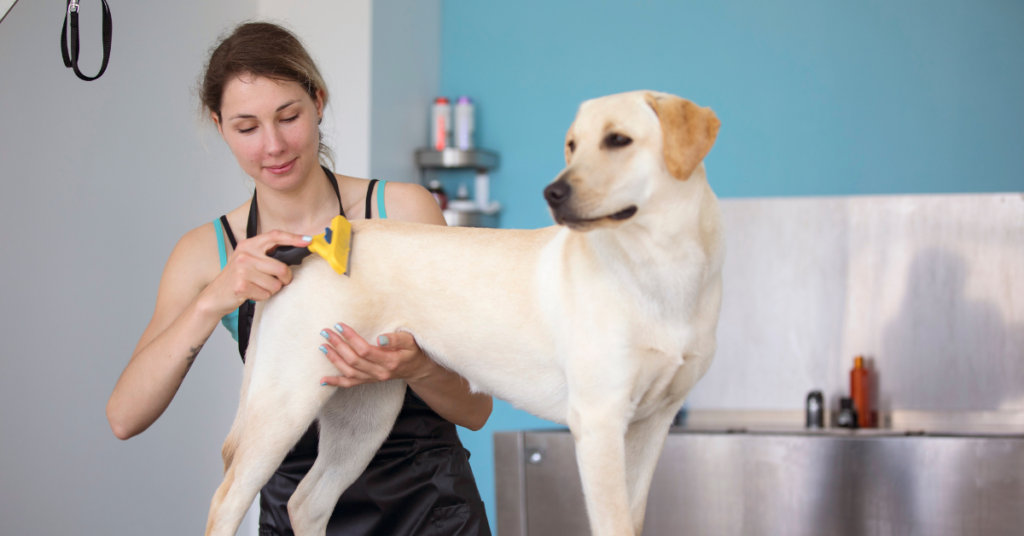 Brush, Even if You Can’t Bathe