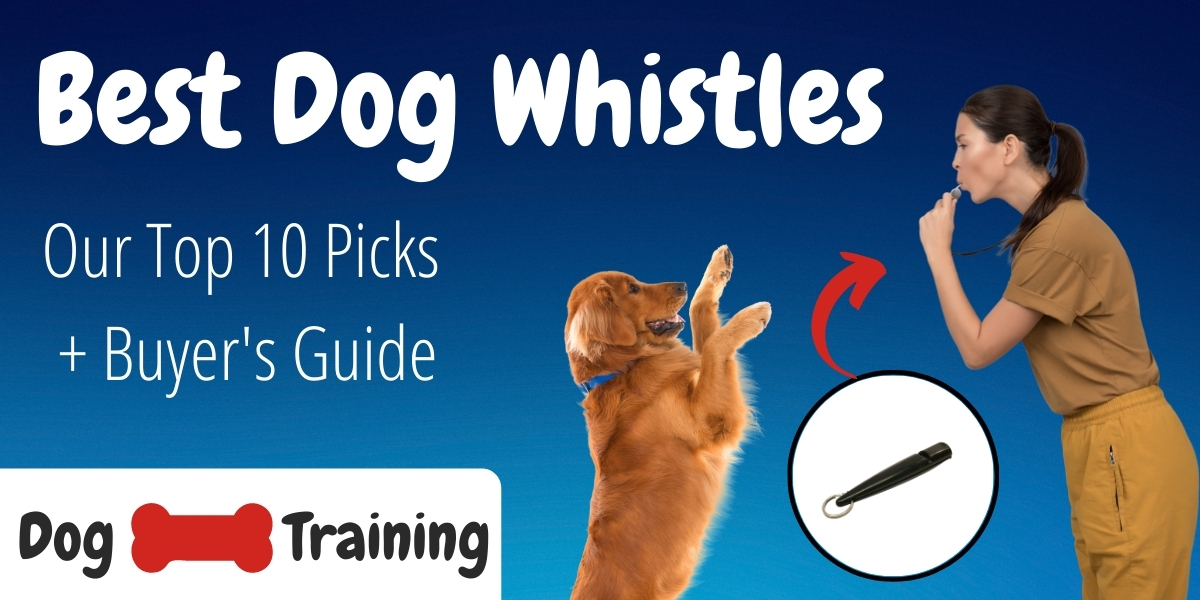 what does a dog whistle do to a dog