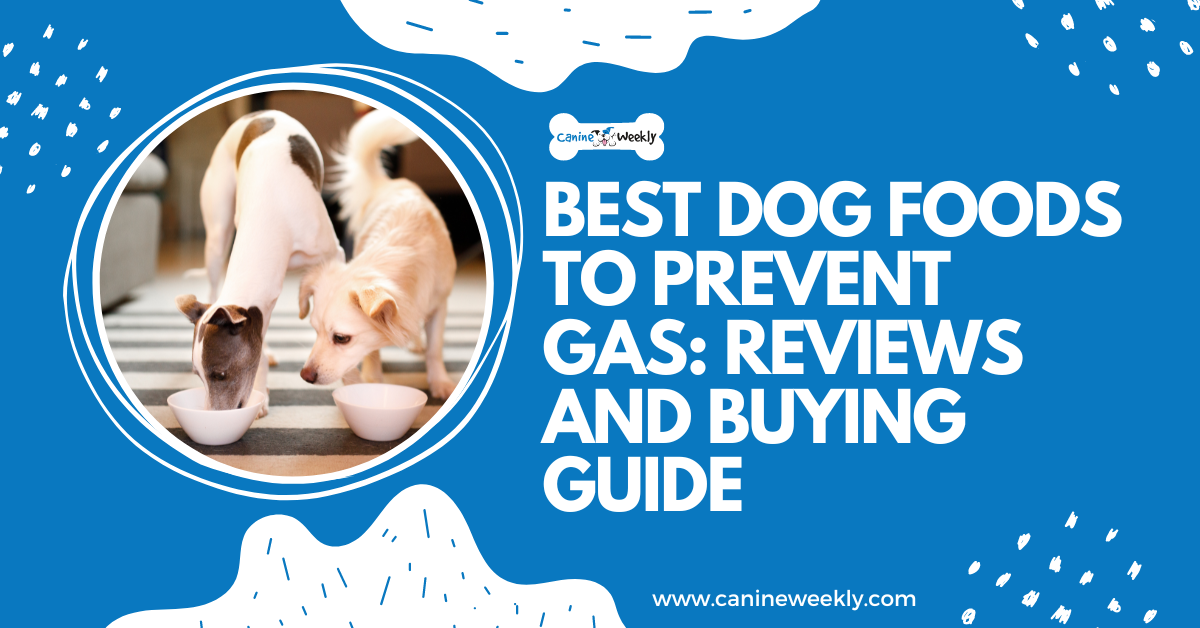 best puppy food to prevent gas