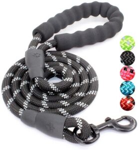 BAAPET 5 FT Strong Dog Leash