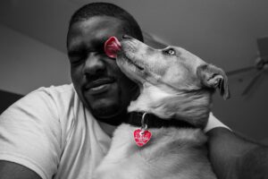 Dogs Lick Your Face