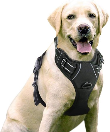 RabbitGoo No Pull dog Harness