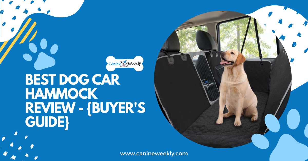 https://canineweekly.com/wp-content/uploads/2021/03/best-dog-car-hammock.png