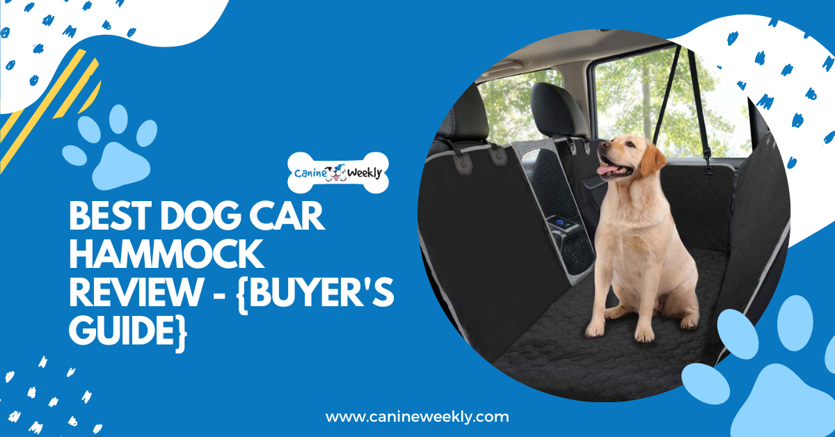 9 Best Dog Car Hammocks of 2023 - Vetstreet