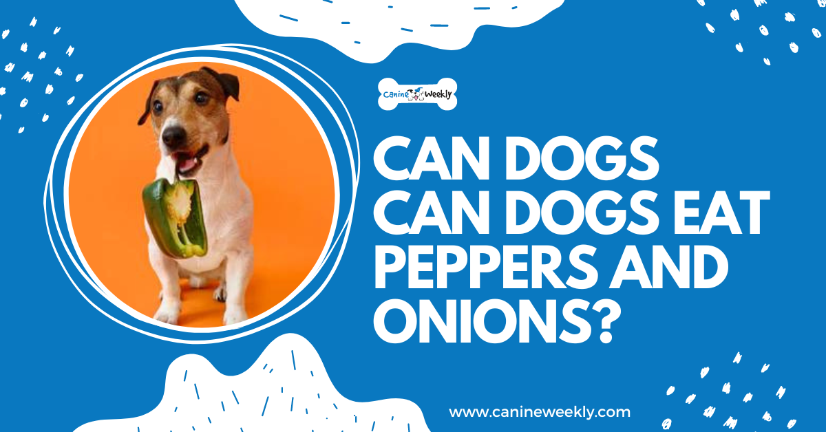 are cooked bell peppers bad for dogs