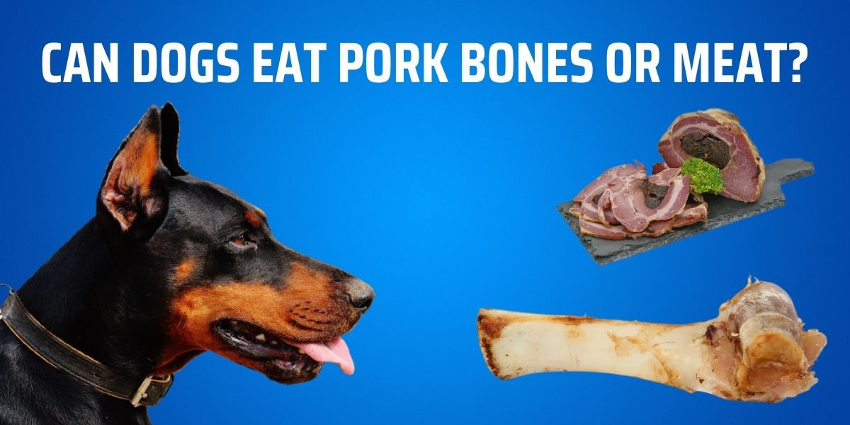 Is it safe for dogs to have pork bones