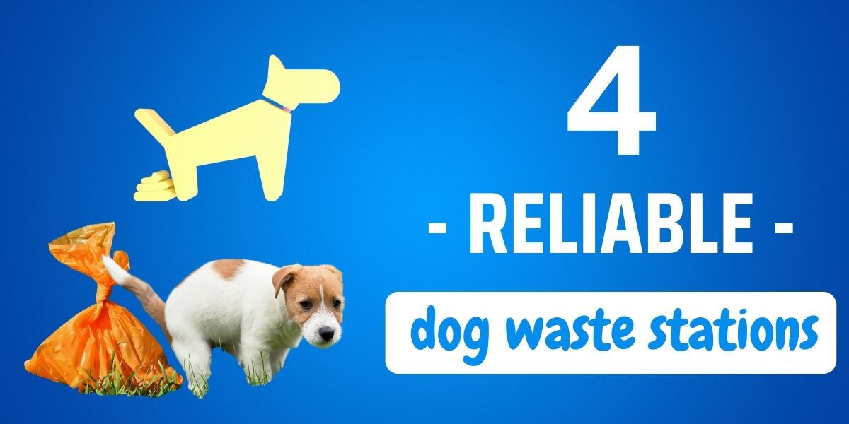 The Best Dog Waste Stations Review 2023 {Buyer's guide}