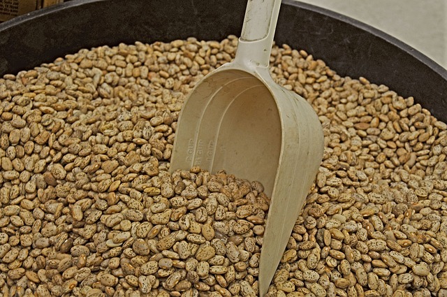 Pinto Beans