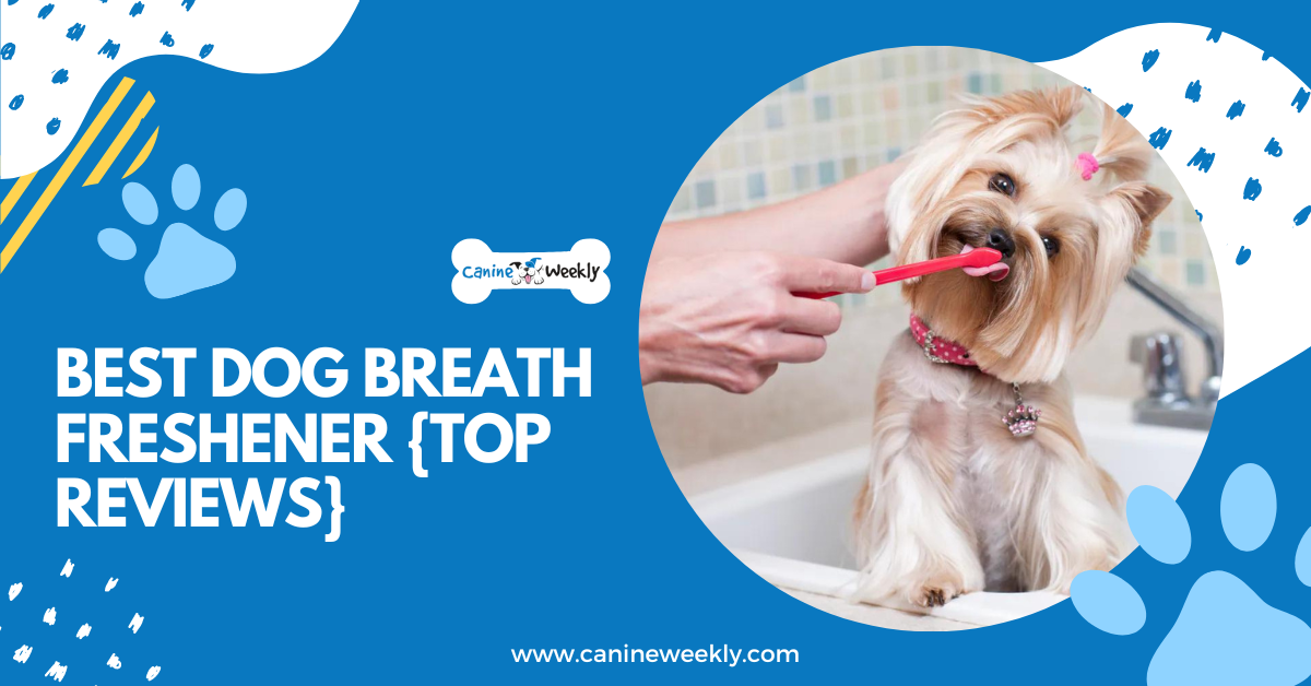 Best Dog Breath Freshener in 2023 {Top 10 Reviews}