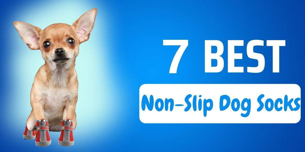 8 Pieces Anti Slip Dog Socks Non-Slip Dog Socks with Adjustable Strap Traction Control for Indoor on Hardwood Floor Wear Black, Gray,XS 