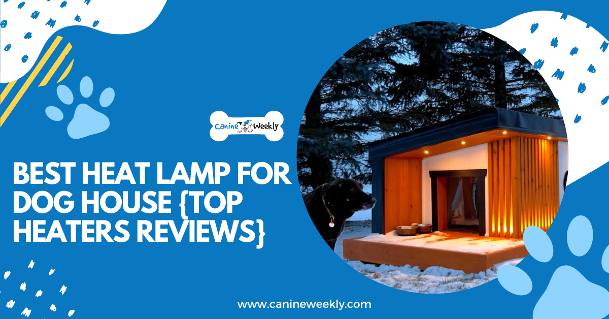 best-heat-lamp-for-dog-house-top-8-heaters-reviews