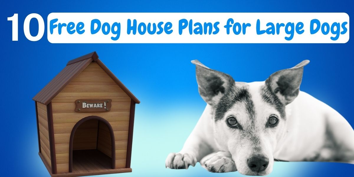 10 Free Dog House Plans For Large Dogs, Large Dog House Plans