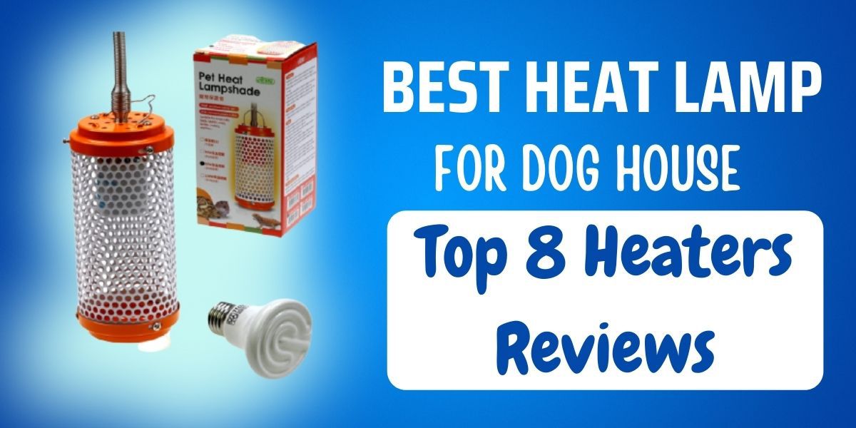 Best Heat Lamp For Dog House Top 8, Are Heat Lamps Safe For Dogs