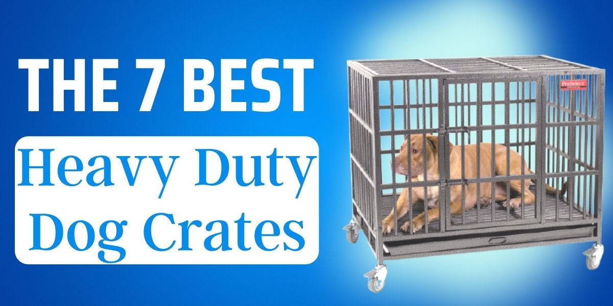what is the strongest dog crate available