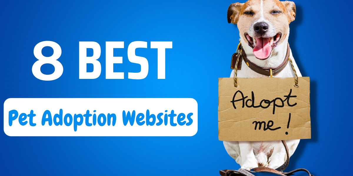 8 Best Pet Adoption Websites (Reviewed) 