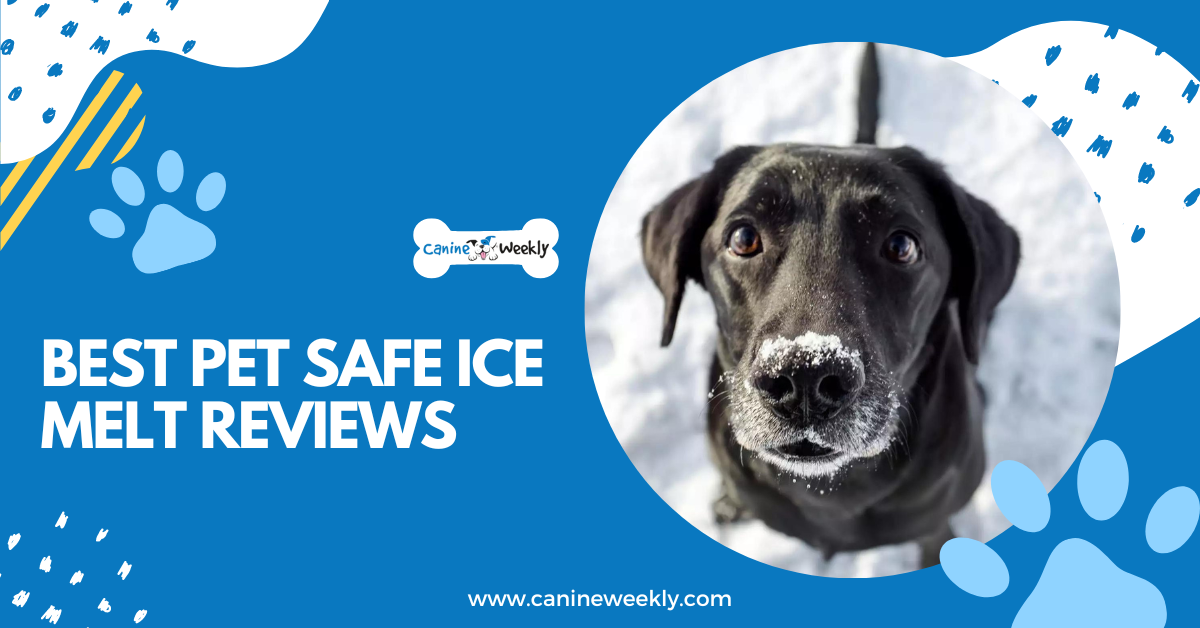 6 Best Pet Safe Ice Melt Reviews