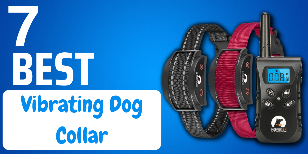 7 Best Vibrating Dog Collar Reviews - CanineWeekly.com