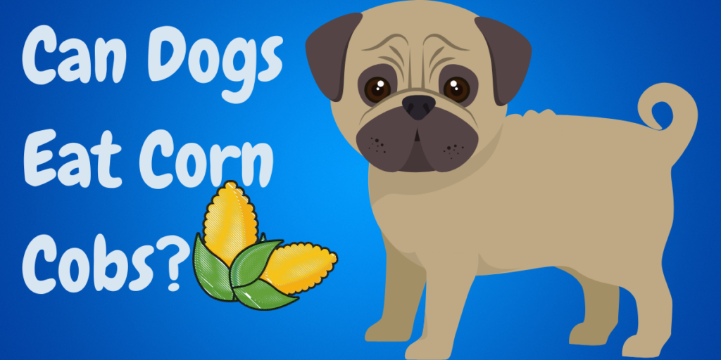 Can Dogs Eat Corn Cobs?
