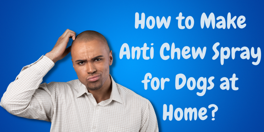 How to Make Anti Chew Spray for Dogs at Home?