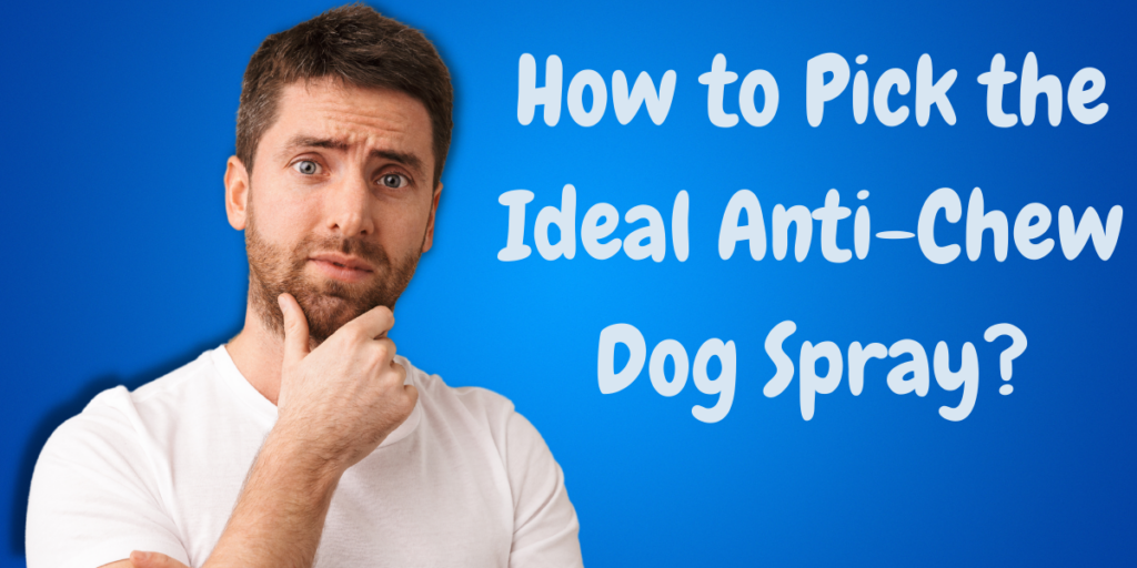 How to Pick the Ideal Anti-Chew Dog Spray?
