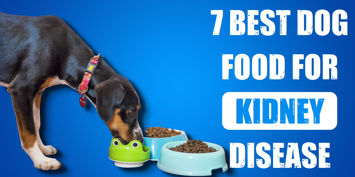 7 Best Dog Food For Kidney Disease Reviews In 2023