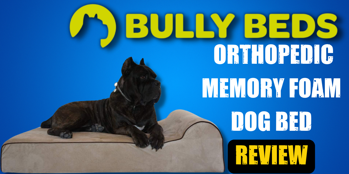 bully beds reviews