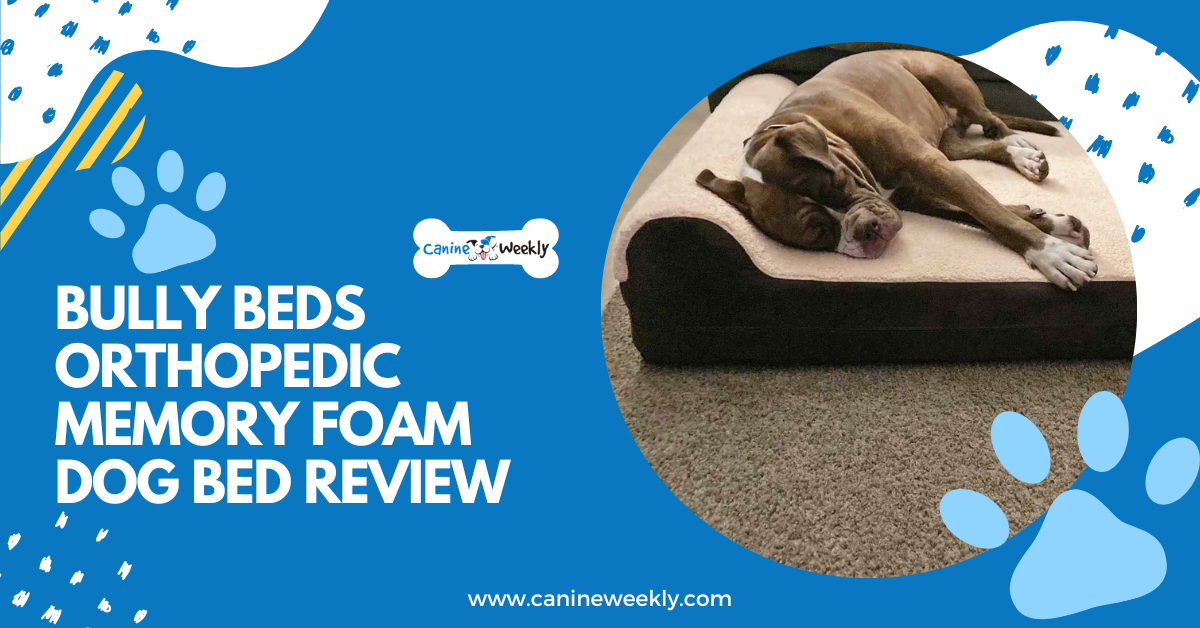 Bully Beds Orthopedic Memory Foam Dog Bed Review