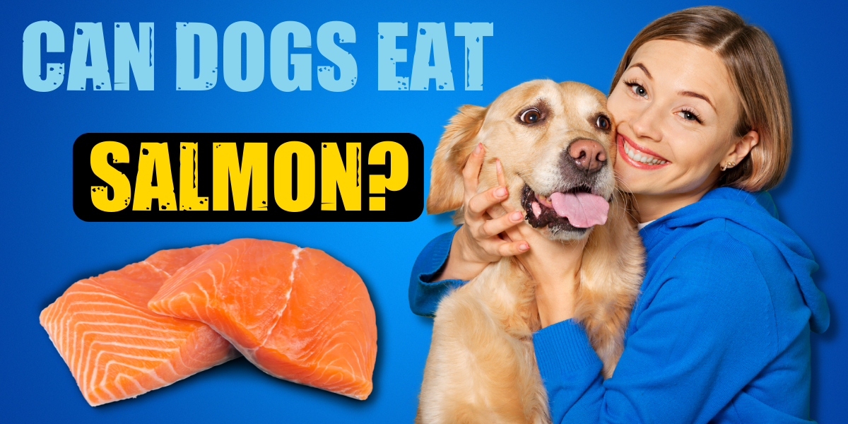 should dogs eat salmon