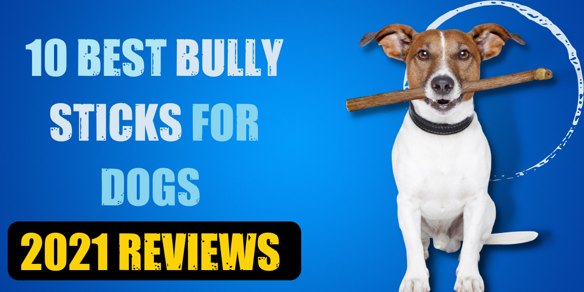 10 Best Bully Sticks for Dogs [2023 Reviews]