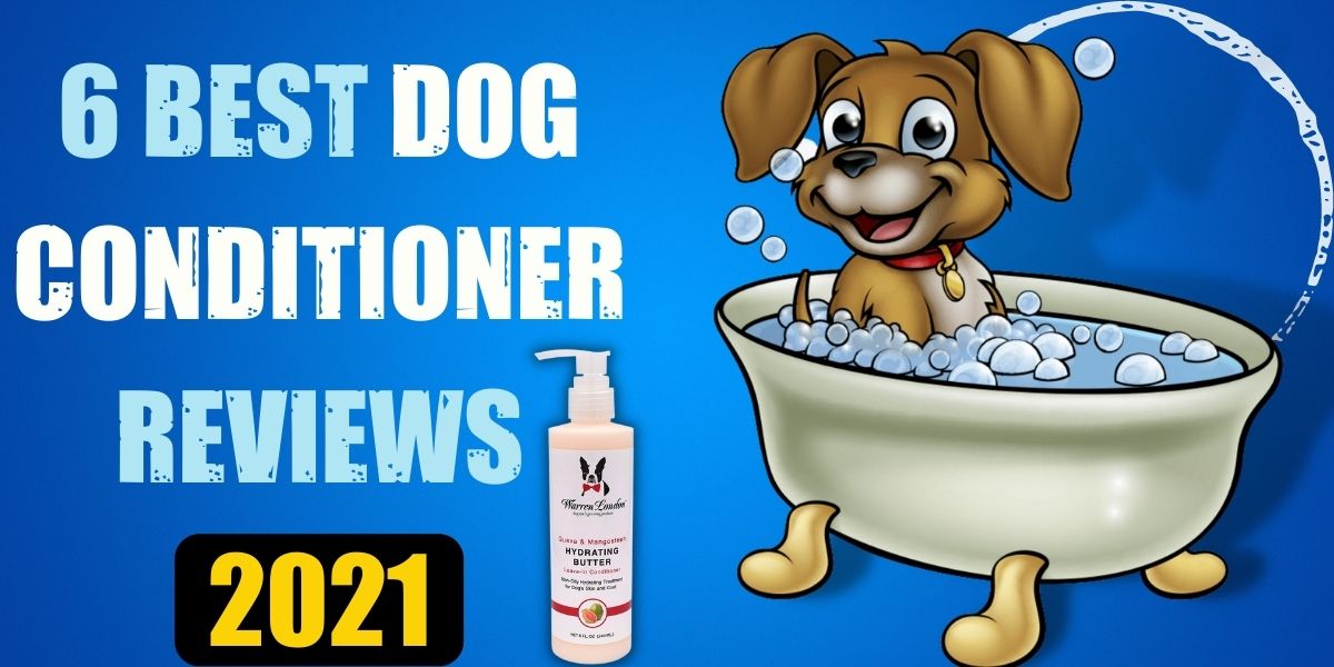 what is the best dog conditioner