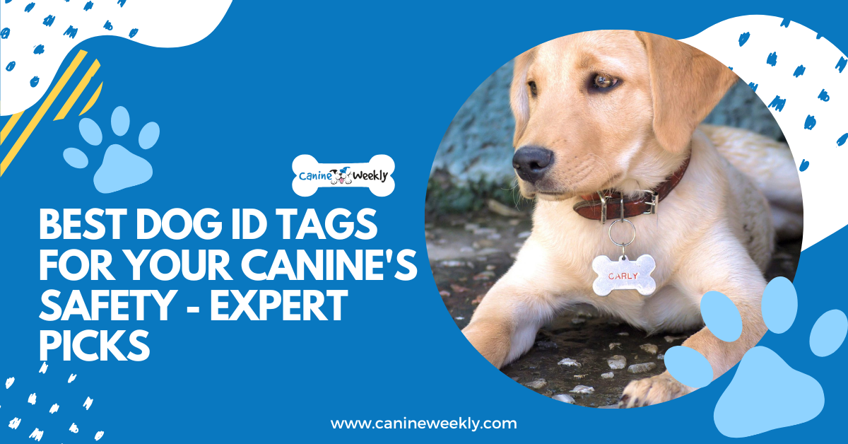 8 Best Dog ID Tags for Your Canine's Safety Expert Picks