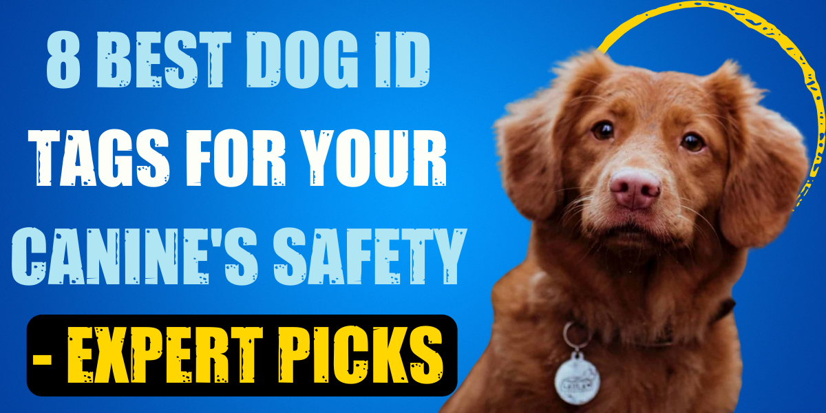 8 Best Dog ID Tags for Your Canine's Safety Story Telling Co