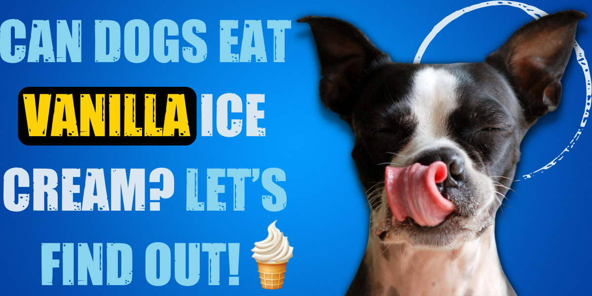 Can Dogs Eat Vanilla Ice Cream? Let Us Find Out! - Story Telling Co