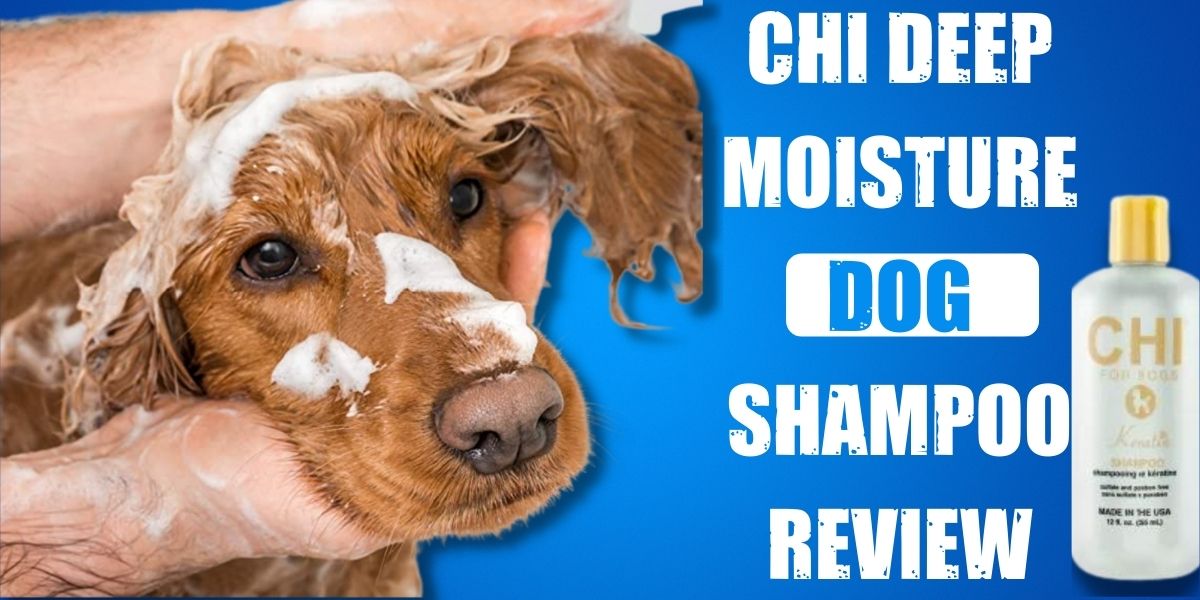 is chi shampoo good for dogs