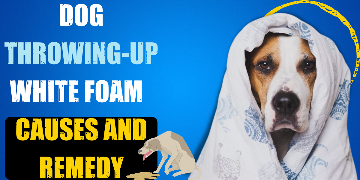 What To Do If Your Dog Is Throwing Up White Foam at Daniel Scott blog