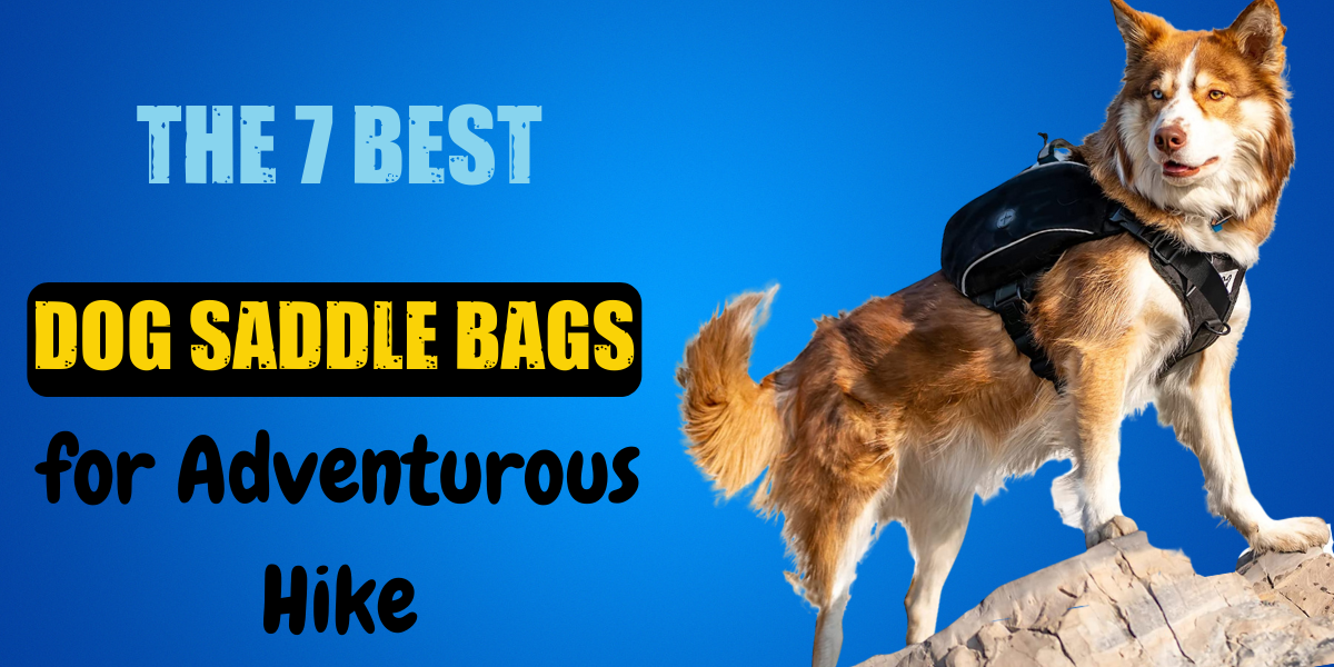 The 7 Best Dog Saddle Bags for Adventurous Hike