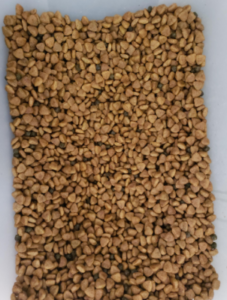 Blue Buffalo Basics Limited Ingredient Diet Dog Food size
