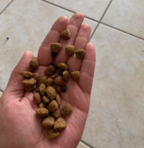 Blue Buffalo Life Protection Formula - Lamb and Brown Rice Recipe size