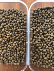 Canidae Grain-Free PURE LID Diet - Real Lamb & Pea Recipe size