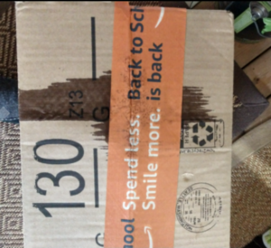 Earthbath Oatmeal & Aloe Shampoo - Conditioner Bundle Box