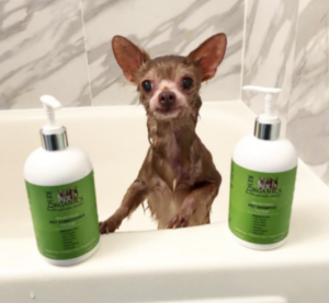 Our juju loves ResQ Organics Manuka Honey Pet Shampoo for Dogs