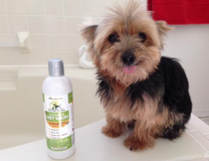 Pro Pet Works Natural Oatmeal Dog Shampoo + Conditioner Dogs
