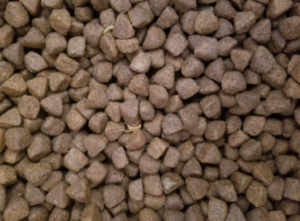 Wellness CORE Grain Free Dry Dog Food size
